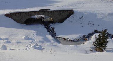 Erzurum, Kars ve Ardahan'da soğuk hava etkisini sürdürüyor
