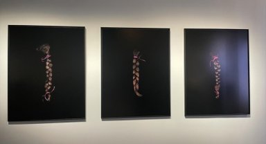 Eski Fransız Bakan Lang, Gazze'de yaşananları felaket olarak değerlendirdi