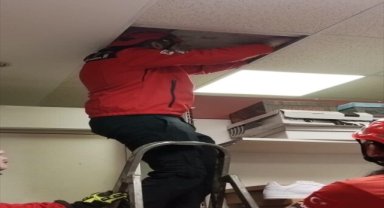 Eskişehir'de bir iş yerinin asma tavanında mahsur kalan kedi kurtarıldı