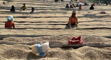 Etiyopya'dan dünyaya dağılan "vazgeçilemeyen lezzet" kahve