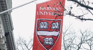 Harvard'da "ifade özgürlüğünü savunan" Rektör Gay'i destekleyen Yönetim Kurulu istifaya çağrıldı