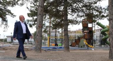 Hedef 1 milyon ağaç!