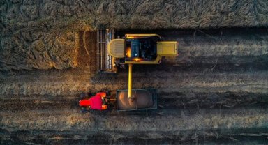 Hububat üretimindeki artışın gelecek yıl da sürdürülmesi hedefleniyor