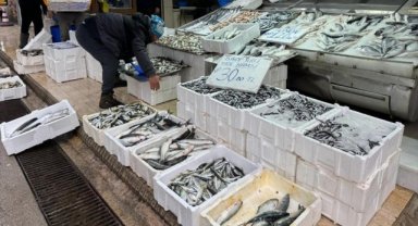 Karadeniz'de deniz suyu sıcaklığı düştü avcılık arttı