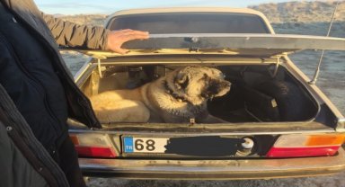 Kayseri'de köpek dövüştüren 37 kişiye 150 bin 35 lira ceza uygulandı