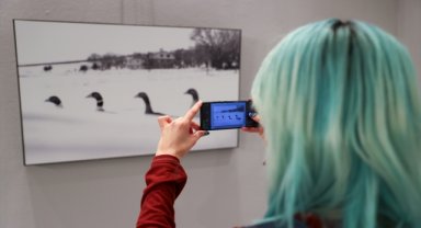 "Kazların Senfonisi" adlı sergi Ankara'da açıldı