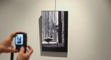 "Kazların Senfonisi" adlı sergi Ankara'da açıldı