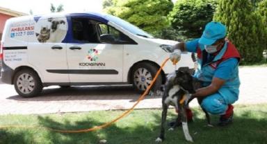 Küçük dostlar ambulansı 7 bin 643 can kurtardı