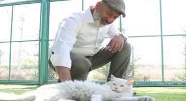 Küçük Dostlar Kedi Kasabası'na yoğun ilgi