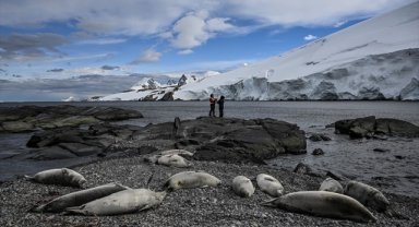 Kutup meraklıları "tek tıkla" bölgeyle ilgili bilimsel bilgilere erişebilecek