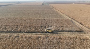 Mardin Ovası'nda biçerdöverler 2 milyon ton mısır rekoltesi için çalışıyor