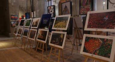 Niğde'de "13. Tarım Orman ve İnsan" fotoğraf sergisi açıldı