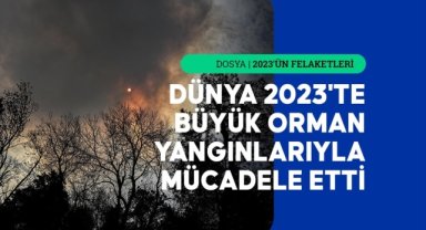 Orman yangınları büyük çapta tahribata, ormanlık alan kaybına ve karbon emisyonuna yol açtı
