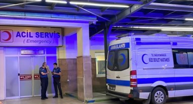 Rize'de sahipsiz köpeklerin saldırdığı 70 yaşındaki kadın yaralandı