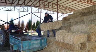 Şehzadeler Belediyesi tarım projesiyle üreticinin elini güçlendirdi