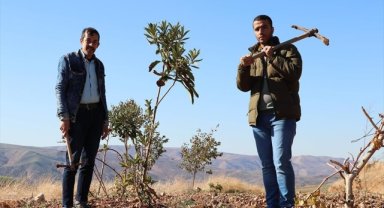 Siirt'te atıl arazi özel bireyler için hobi bahçesine dönüştürüldü 