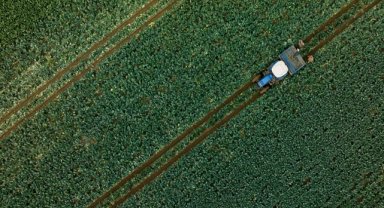 Tarım ÜFE kasımda aylık yüzde 0,95 azalırken yıllık yüzde 50,47 arttı