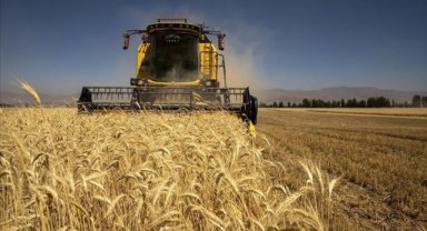 Tarımsal girdi fiyat endeksi ekimde aylık yüzde 2,06, yıllık yüzde 40,11 arttı