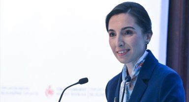 TCMB Başkanı Erkan: Türk lirasına geçiş, hedeflere uygun şekilde devam ediyor