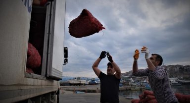 Türkiye'nin 11 aylık deniz salyangozu ihracatı 20,5 milyon doları aştı