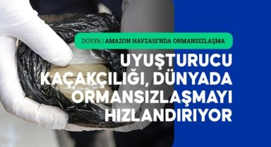 Uyuşturucu kaçakçılığı, "dünyanın akciğerlerini" günden güne söndürüyor