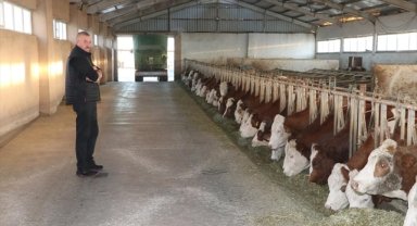 Yozgatlı üretici süt verimini artırmak için ineklere müzik dinletiyor