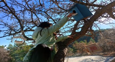 Yozgat'ta ilkokul öğrencileri kuşlar için yuva yaptı