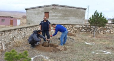 Yunak'ta okul bahçesindeki atıl arazi meyve bahçesine dönüştürüldü