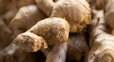 "Zencefil"in Alzheimer ve kanser hastalıklarına karşı potansiyeli araştırıldı