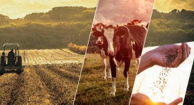 2023'te 63,4 milyar TL'lik tarımsal destek