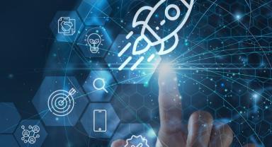 Bayer'den her bir girişime 300 bin TL hibe desteği