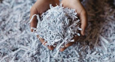 Bursa'da1433 ağaç kesilmekten kurtuldu!