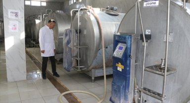 Devlet desteğiyle üye sayısını artıran Birlik, sütten aylık 27 milyon lira gelir elde ediyor