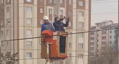 Tele takılan kuş kurtarıldı