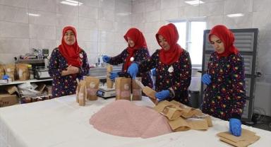 KOOP-DES Programı'na başvurular 30 Mart'a kadar yapılabilecek