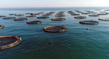 Su ürünlerinin sorunları Kayseri'de tartışılacak