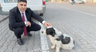 Kadir Türkmen: Mini patilere özel otel konforunda yuvalar yapacağız