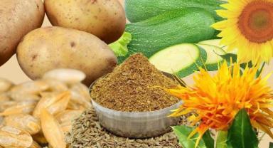 Kayseri, Ayçiçek üretiminde birinci sırada 