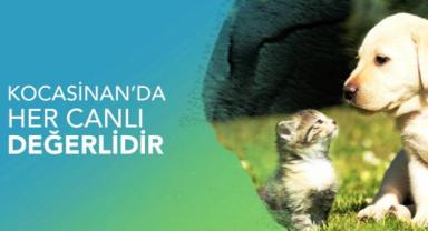 Kocasinan'da bir ilk ‘Sen’Patı Park’ Projesi hayata geçiyor