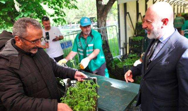 Kocasinan'ın Geleneksel Domates Fidesi etkinliğine yoğun ilgi