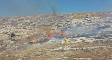 Adıyaman'da çıkan örtü yangını ormana sıçramadan söndürüldü