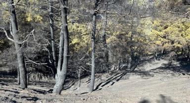 Bakan Yumaklı, Babadağ'daki orman yangınının kontrol altına alındığını bildirdi