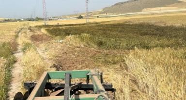 Elektrik direğinden çıkan kıvılcım tarım arazisine düştü: Çiftçiler mağduriyetlerinin giderilmesini istiyor