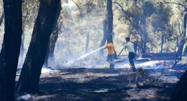 İzmir ve Balıkesir'deki orman yangınları kontrol altına alındı