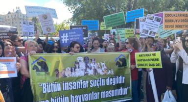 KAYHAKDER Başkanı Uzel: “Hayvanların üzülmesine sebep olmak kul hakkı değil midir”