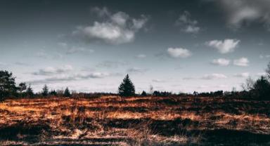 Sıcak havalar, anız yangınlarını tetikledi