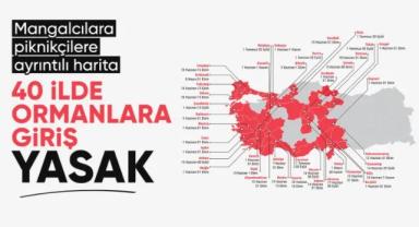 Türkiye genelinde 40 ilde ormanlara giriş yasağı