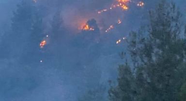 Yahyalı’da 50 dönümlük ormanlık arazi küle döndü