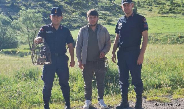Yasa dışı keklik avı yapan şahıs suçüstü yakalandı