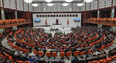 10 soruda TBMM'de kabul edilen sahipsiz hayvanlara yönelik düzenleme